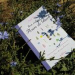 cahier Fleurs de Bach Maud Gracien Toulouse